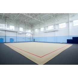 Тренировочный ковер 11х11м (гимнастический)