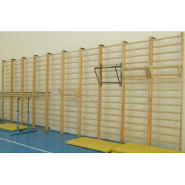 Стенка 3,2x0,8м с выносом (гимнастическая, шведская)